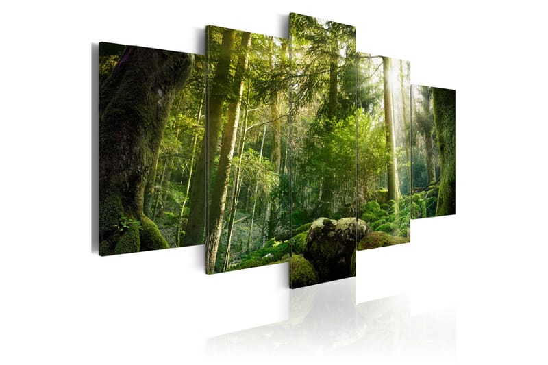 Tavla The Beauty Of The Forest 100X50 Grön|Vit - Artgeist sp. z o. o. - Canvastavla