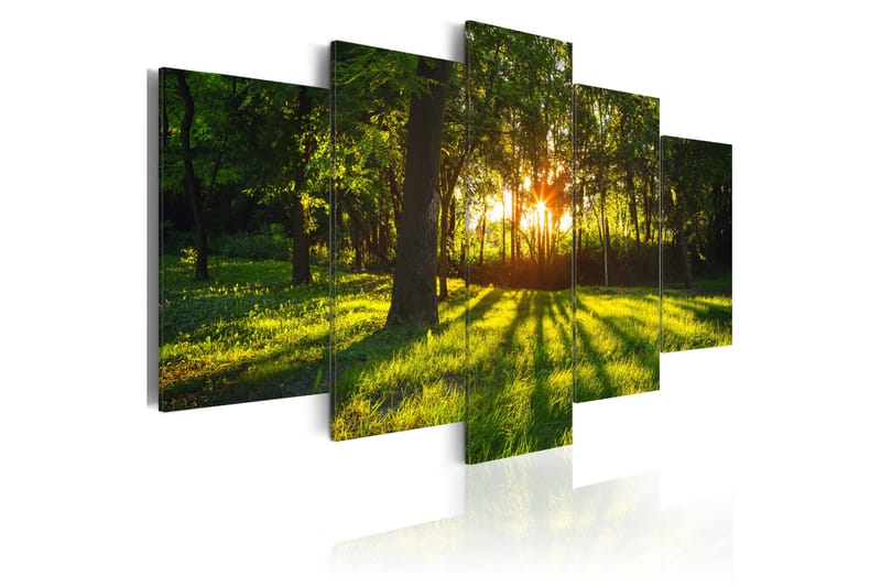 Tavla The Forest Reflection 100X50 Grön - Artgeist sp. z o. o. - Inredning & dekor - Tavlor & konst - Canvastavla