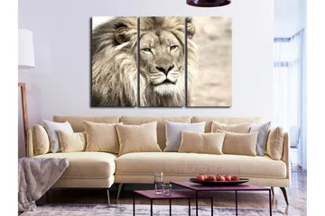 Tavla The King Of Beasts 3 Parts Beige 90x60 - Artgeist sp. z o. o. - Inredning & dekor - Tavlor & konst - Canvastavla