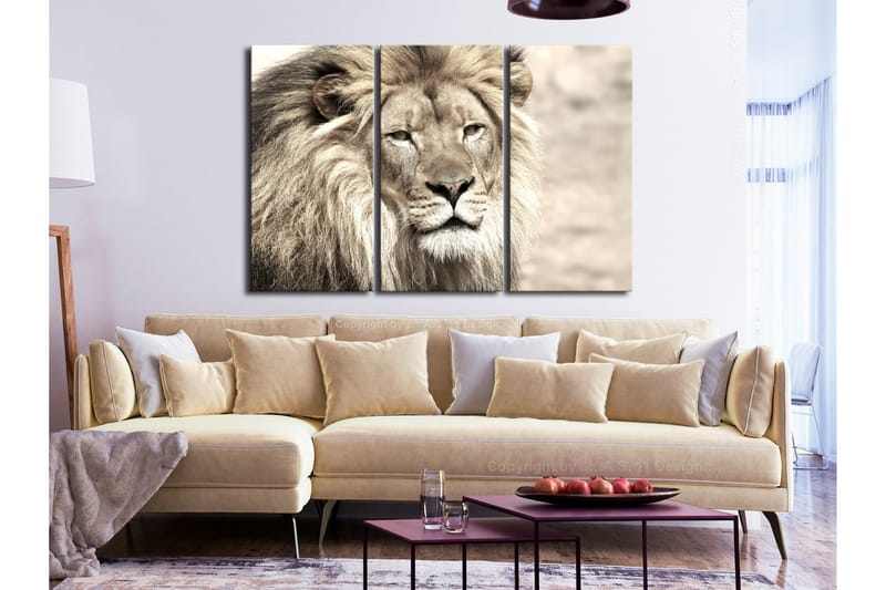 Tavla The King Of Beasts 3 Parts Beige 120x80 - Artgeist sp. z o. o. - Inredning & dekor - Tavlor & konst - Canvastavla
