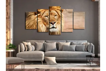 Tavla The King Of Beasts 5 Parts Wide Orange 200x100 - Artgeist sp. z o. o. - Inredning & dekor - Tavlor & konst - Canvastavla