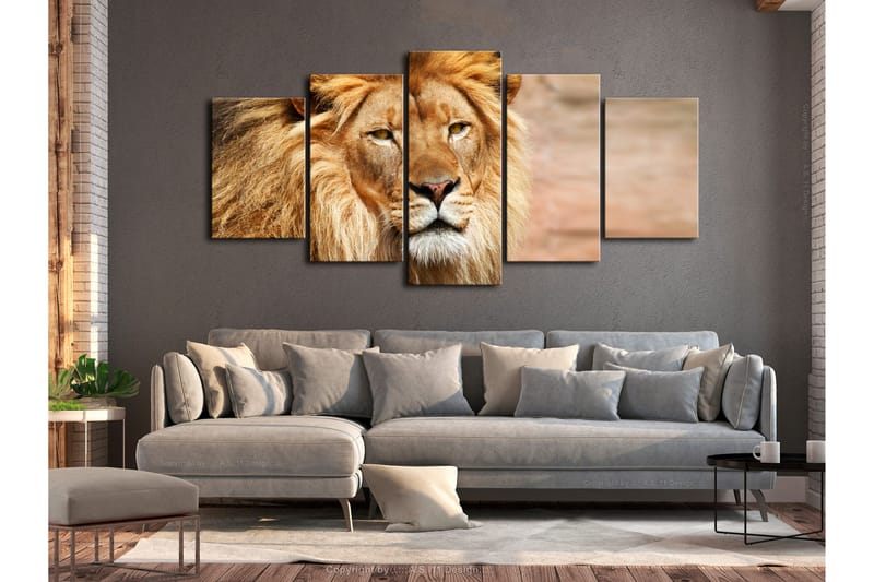 Tavla The King Of Beasts 5 Parts Wide Orange 200x100 - Artgeist sp. z o. o. - Inredning & dekor - Tavlor & konst - Canvastavla