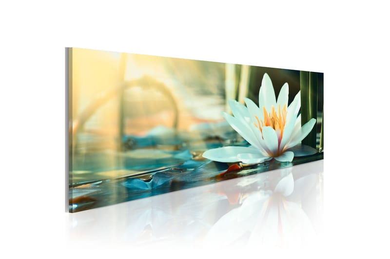 Tavla The Lake Of Lotus 150x50, Artgeist sp. z o. o.