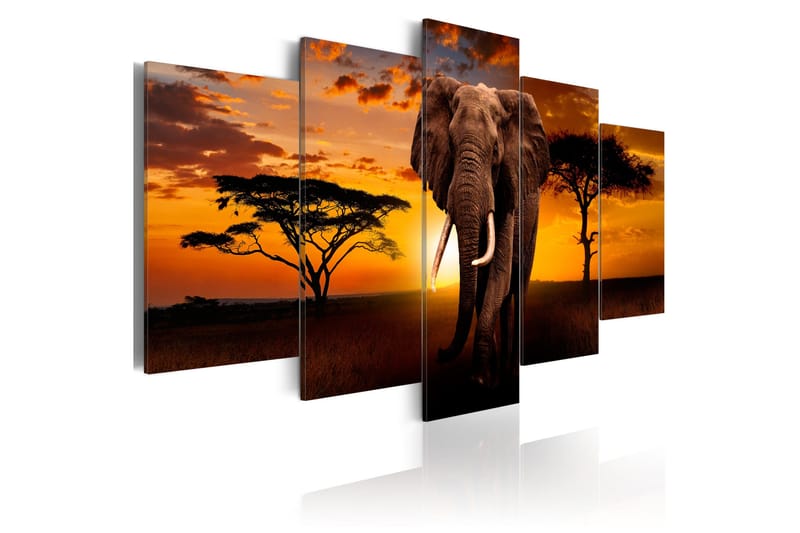 Tavla The Savannah King 200x100 - Artgeist sp. z o. o. - Inredning & dekor - Tavlor & konst - Canvastavla