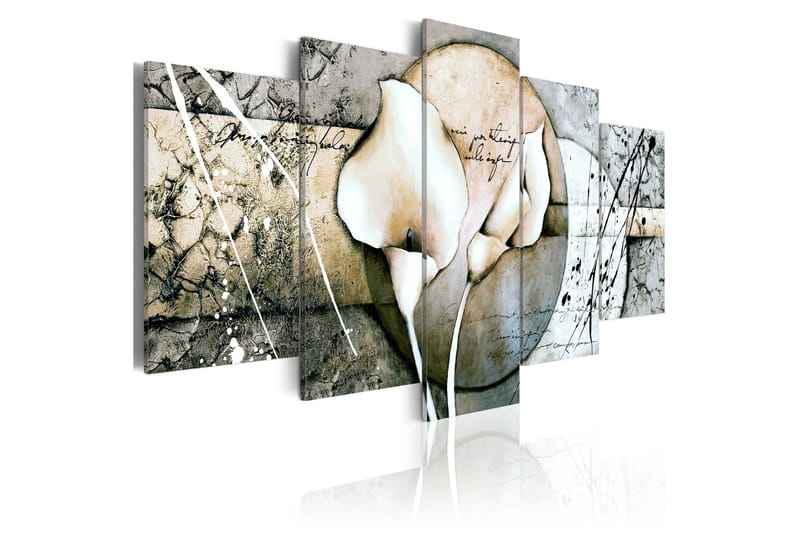 Tavla The Secret Of Calla Lily Grey 200x100, Artgeist sp. z o. o.