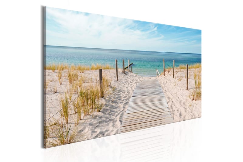 Tavla The Silence Of The Sea 150X50 Flerfärgad|Beige|Blå - Artgeist sp. z o. o. - Inredning & dekor - Tavlor & konst - Canvastavla