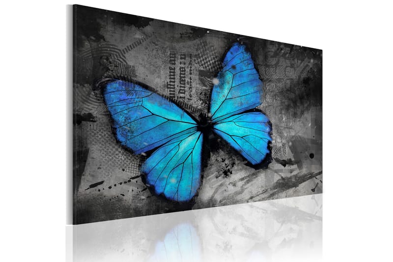Tavla The Study Of Butterfly 90x60 - Artgeist sp. z o. o. - Inredning & dekor - Tavlor & konst - Canvastavla