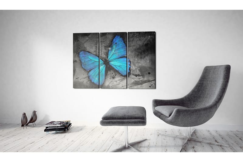 Tavla The Study Of Butterfly Triptych 120x80 - Artgeist sp. z o. o. - Inredning & dekor - Tavlor & konst - Canvastavla