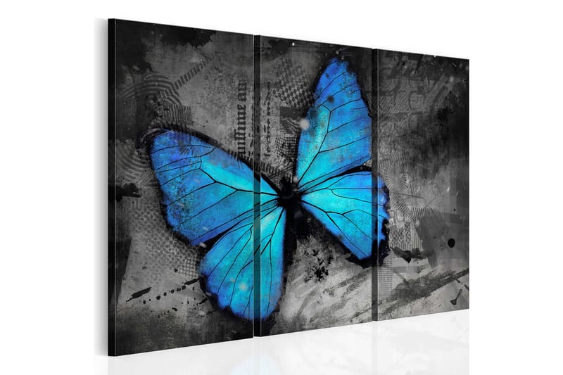 Tavla The Study Of Butterfly Triptych 120x80, Artgeist sp. z o. o.