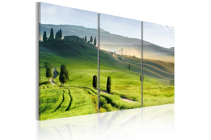 Tavla Time Of Harvest 120x80, Artgeist sp. z o. o.