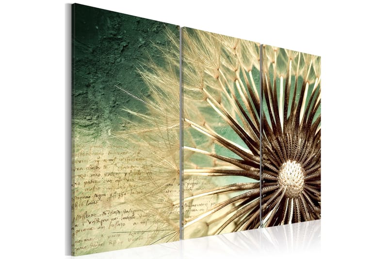 Tavla Transitory Beauty 90X60 Grön|Beige - Artgeist sp. z o. o. - Inredning & dekor - Tavlor & konst - Canvastavla