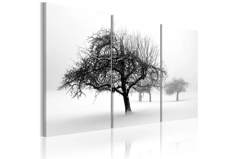 Tavla Trees Submerged In White 120x80, Artgeist sp. z o. o.