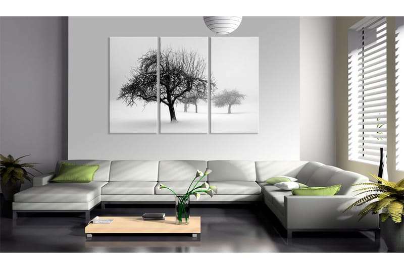Tavla Trees Submerged In White 60X40 Vit - Artgeist sp. z o. o. - Inredning & dekor - Tavlor & konst - Canvastavla