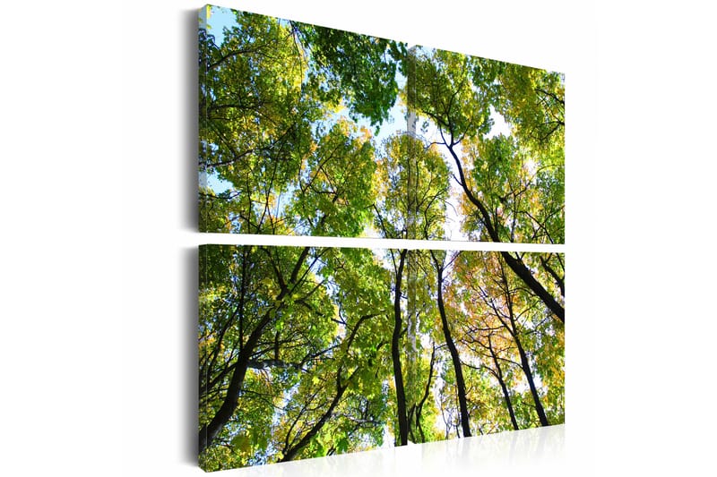 Tavla Treetops 40X40 Grön Landskap - Artgeist sp. z o. o. - Inredning & dekor - Tavlor & konst - Canvastavla