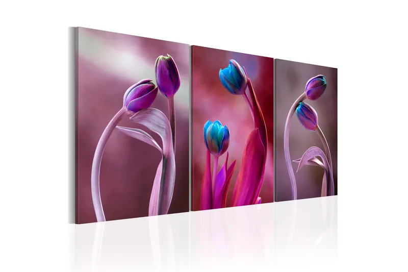 Artgeist sp. z o. o. Tavla Tulips In Love 60X30 Lila|Flerfärgad|Vit