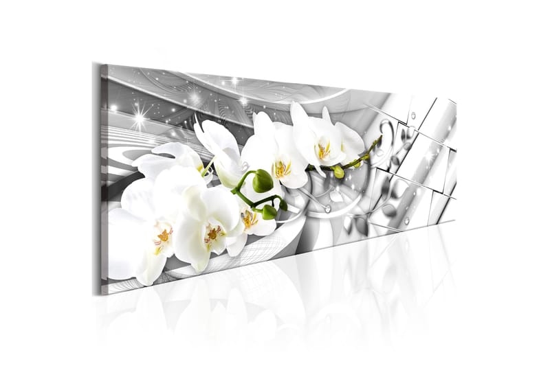 Tavla Twisted Orchids 120X40 Vit - Artgeist sp. z o. o. - Canvastavla