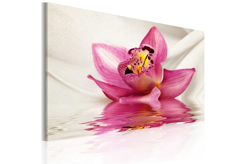 Tavla Unusual Orchid 60x40, Artgeist sp. z o. o.