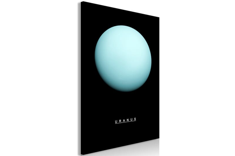 TAVLA Uranus (1 Part) Vertical 60x90 - Artgeist sp. z o. o. - Canvastavla