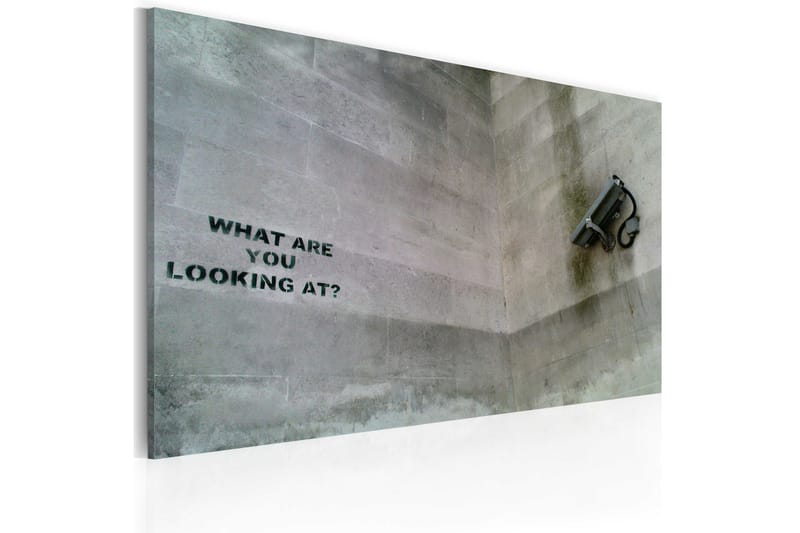 Tavla Vad Glor Du På? Banksy 60X40 Grå Street art - Artgeist sp. z o. o. - Canvastavla