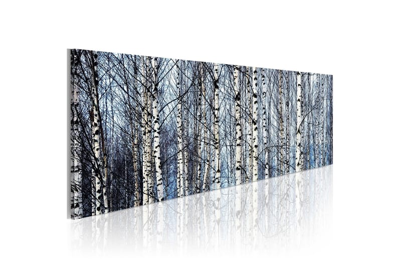 Tavla Vita Björkar 120x40, Artgeist sp. z o. o.