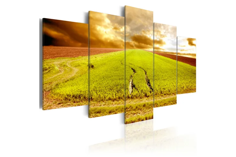 Artgeist sp. z o. o. Tavla Wheels Traces On A Field 100X50 Grön|Beige