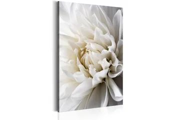 Tavla White Dahlia 60x90 - Artgeist sp. z o. o. - Inredning & dekor - Tavlor & konst - Canvastavla