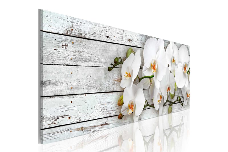 Tavla White Dreams 150x50, Artgeist sp. z o. o.