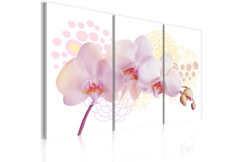 Tavla White Lady 60X40 Rosa|Vit - Artgeist sp. z o. o. - Inredning & dekor - Tavlor & konst - Canvastavla