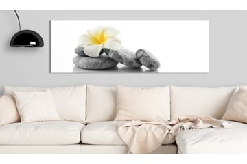 Tavla White Lotus 135x45 - Artgeist sp. z o. o. - Inredning & dekor - Tavlor & konst - Canvastavla