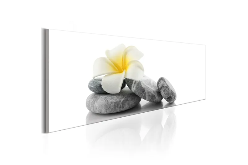 Tavla White Lotus 135x45, Artgeist sp. z o. o.