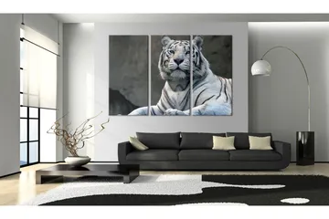 Tavla White Tiger 60x40 - Artgeist sp. z o. o. - Inredning & dekor - Tavlor & konst - Canvastavla