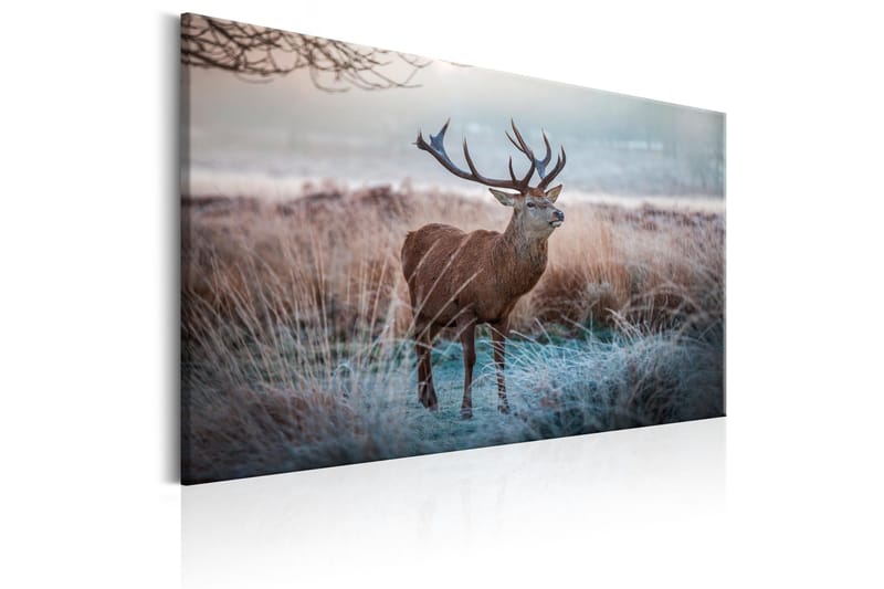 Tavla Wild Animal 90x60 - Artgeist sp. z o. o. - Inredning & dekor - Tavlor & konst - Canvastavla