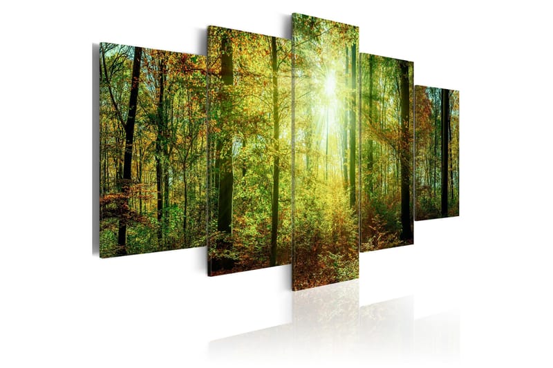 Tavla Wild Forest 200x100, Artgeist sp. z o. o.