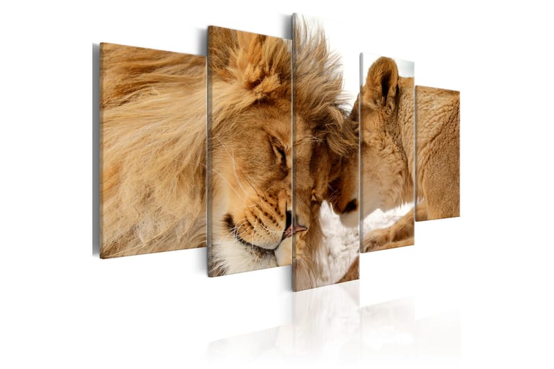 Tavla Wild Love 200X100 Beige|Brun, Artgeist sp. z o. o.