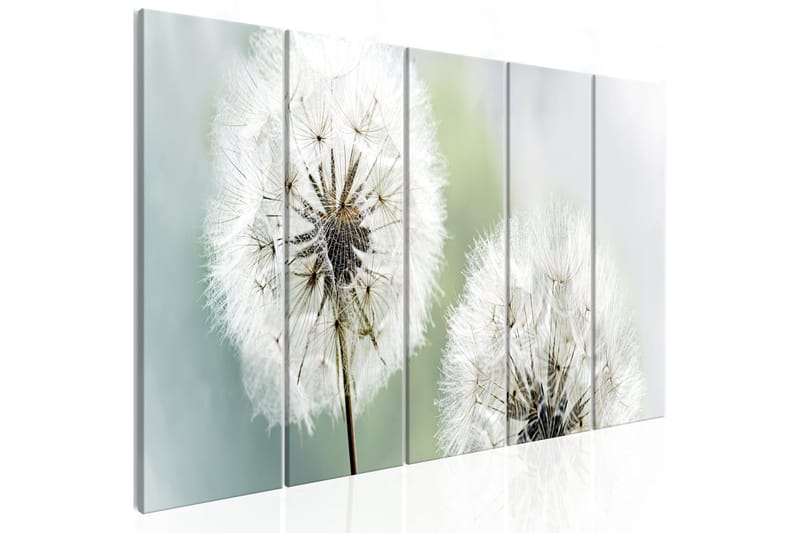 Tavla Windless Morning 5 Parts Narrow 225x90, Artgeist sp. z o. o.