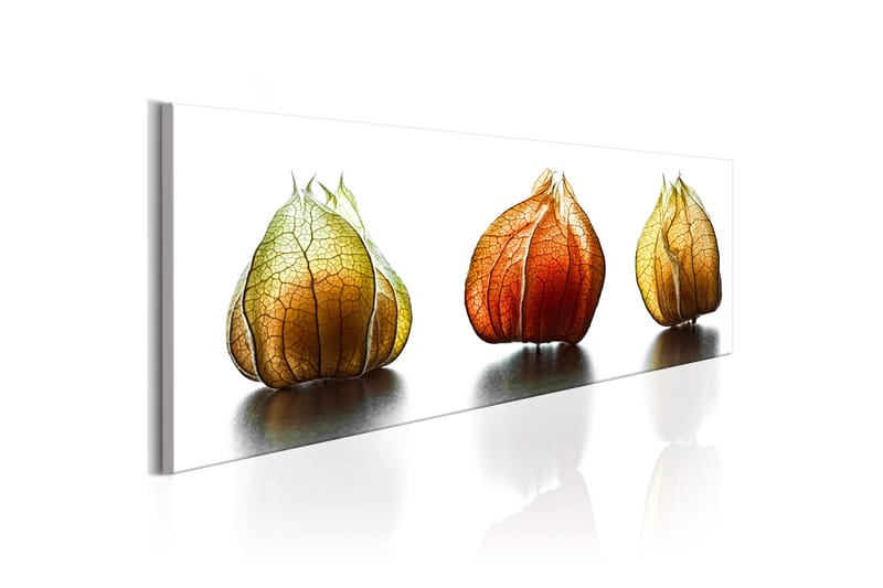 TAVLA Winter Cherry 120x40 - Artgeist sp. z o. o. - Inredning & dekor - Tavlor & konst - Canvastavla