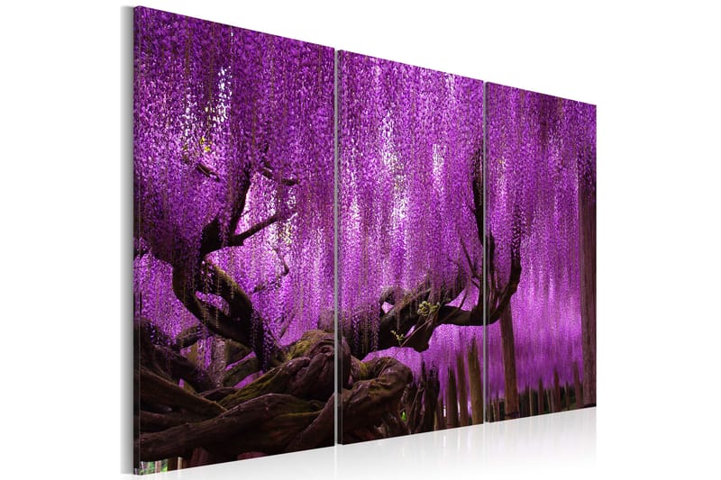 Tavla Wisteria 60X40 Lila - Artgeist sp. z o. o. - Inredning & dekor - Tavlor & konst - Canvastavla