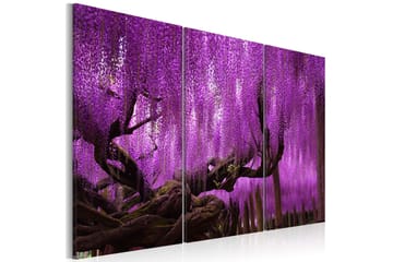 TAVLA Wisteria 90x60
