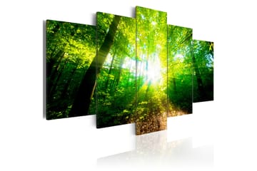 Tavla Wonderful Morning 100X50 Grön