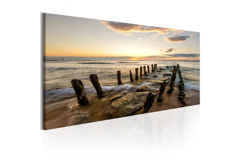 Tavla Wooden Breakwaters 150x50 - Inredning & dekor - Tavlor & konst - Canvastavla