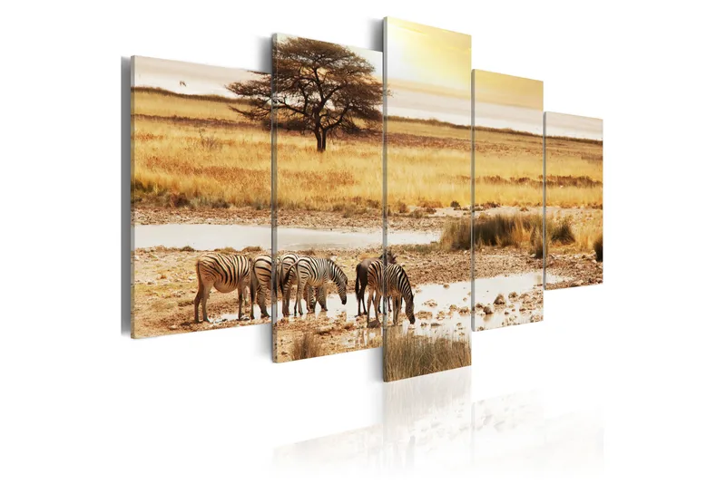 Tavla Zebras On A Savannah 100X50 Beige - Artgeist sp. z o. o. - Inredning & dekor - Tavlor & konst - Canvastavla