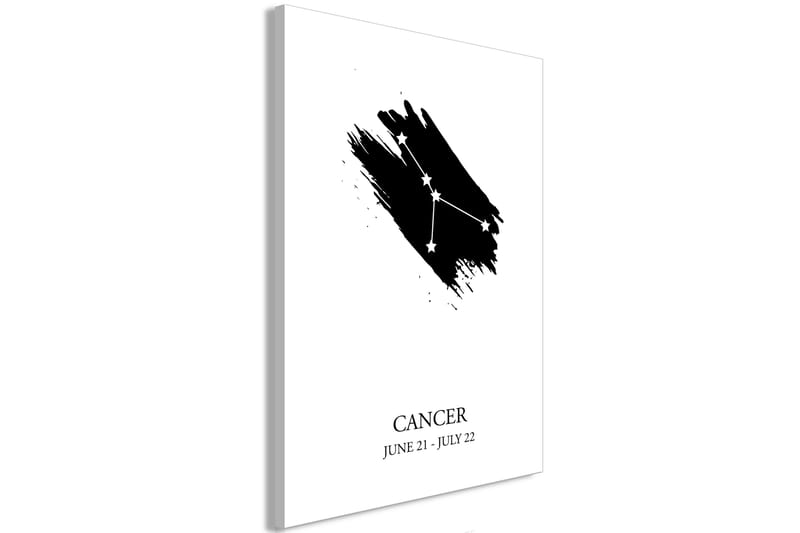 TAVLA Zodiac Signs: Cancer (1 Part) Vertical 40x60 - Artgeist sp. z o. o. - Canvastavla