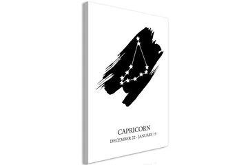 Tavla Zodiac Signs: Capricorn (1 Part) Vertical 60x90 - Artgeist sp. z o. o. - Inredning & dekor - Tavlor & konst - Canvastavla
