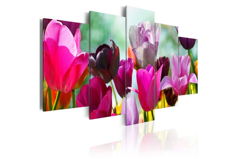 Tavla Pink Fun 200x100, Artgeist sp. z o. o.