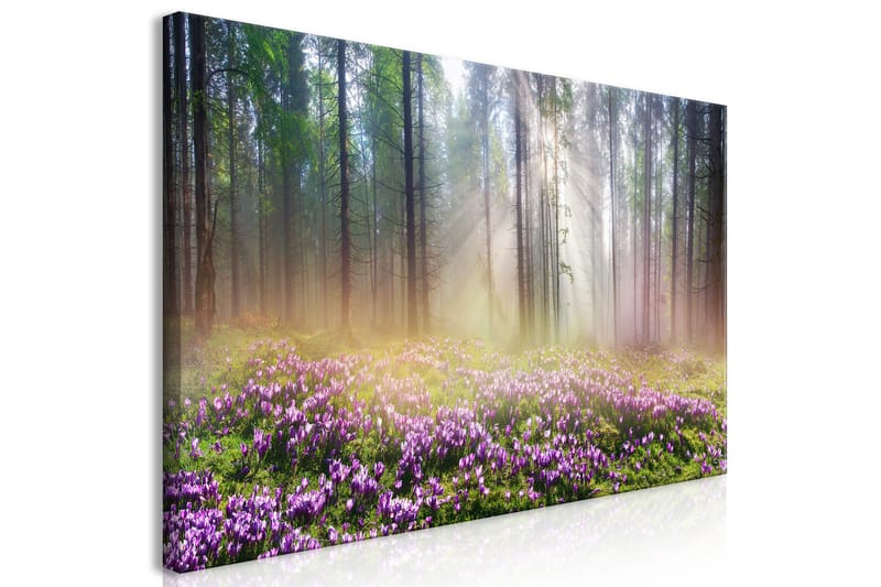 TAVLA Purple Meadow (1 Part) Wide 120x60 - Artgeist sp. z o. o. - Inredning & dekor - Tavlor & konst - Canvastavla