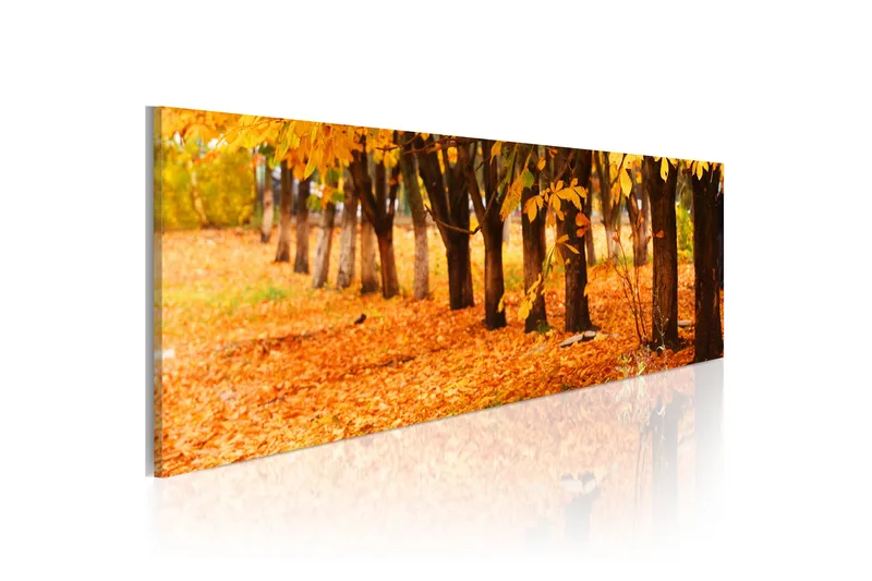 Tavla Park Covered With Golden Leaves 120x40, Artgeist sp. z o. o.