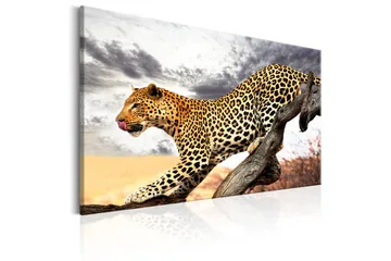 Tavla Predatory Stare 120x80 - Artgeist sp. z o. o. - Inredning & dekor - Tavlor & konst - Canvastavla