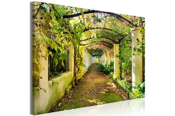Tavla Pergola (1 Part) Wide 90x60 - Artgeist sp. z o. o. - Inredning & dekor - Tavlor & konst - Canvastavla