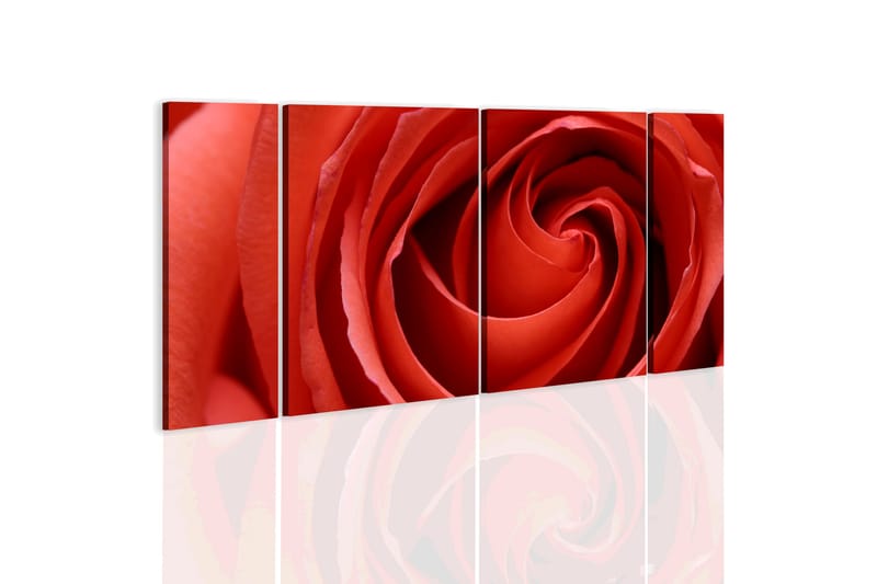 Tavla Passionate Rose 60X30 Röd|Vit - Artgeist sp. z o. o. - Canvastavla