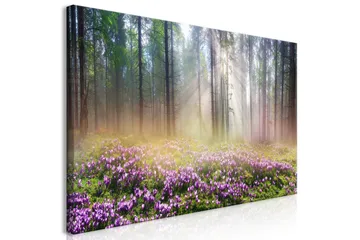 Tavla Purple Meadow (1 Part) Wide 120x60 - Artgeist sp. z o. o. - Inredning & dekor - Tavlor & konst - Canvastavla
